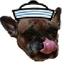 Avatar użytkownika
