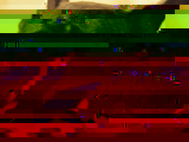 3852810_PC030327.JPG