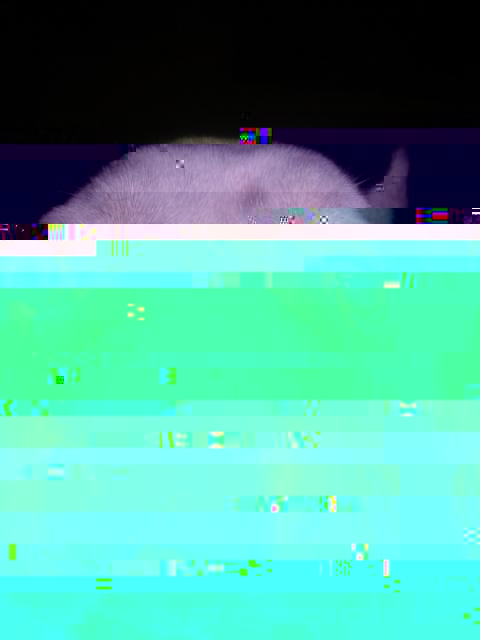 20160108_100545.jpg
