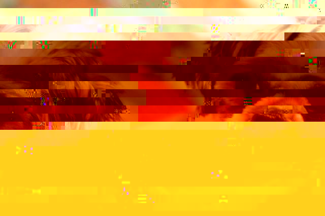 psydej005.jpg