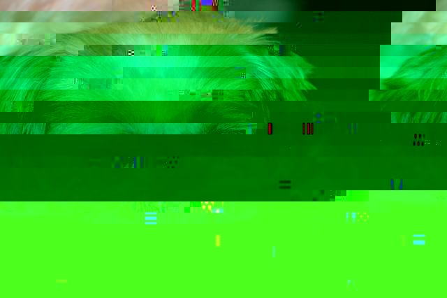 psydej002.jpg