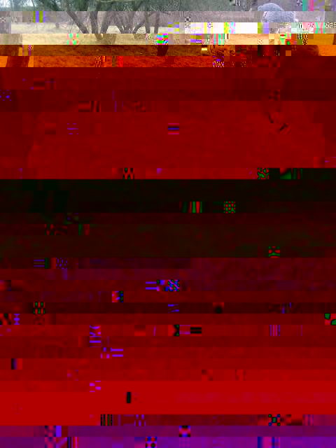IMG_20160208_134507.jpg