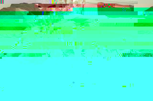 003.JPG