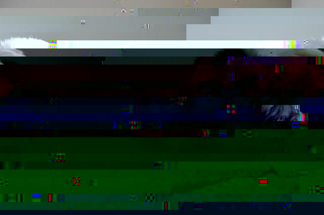 012.JPG