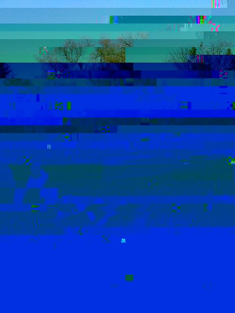 IMG_20160316_153903.jpg