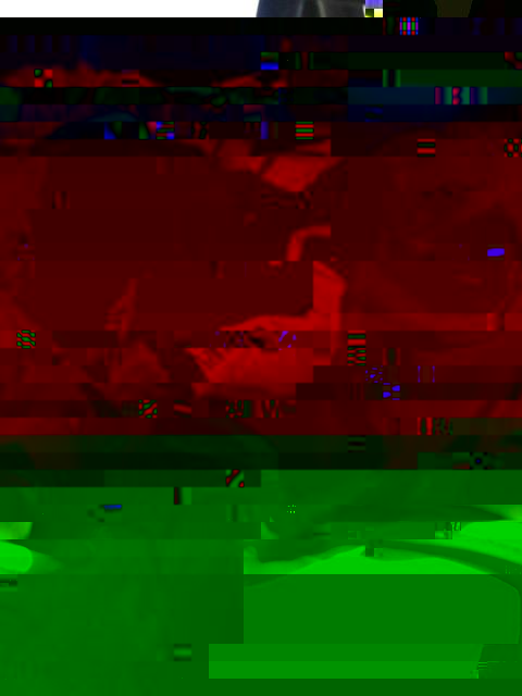 IMG_20160328_121648.jpg