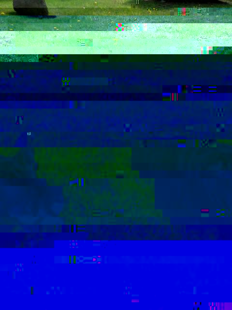 IMG_20160501_152318.jpg