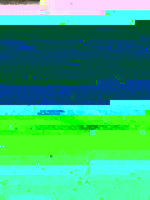 IMG_20160501_145000.jpg