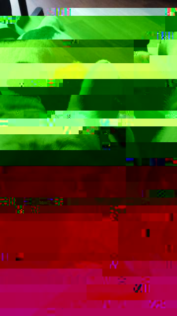 20161005_101148.jpg