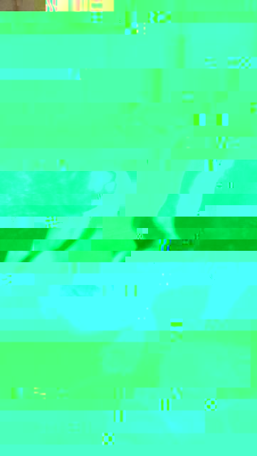 IMAG0050.jpg