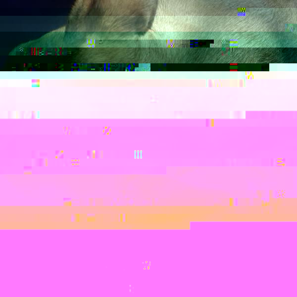 20180817_164920.jpg