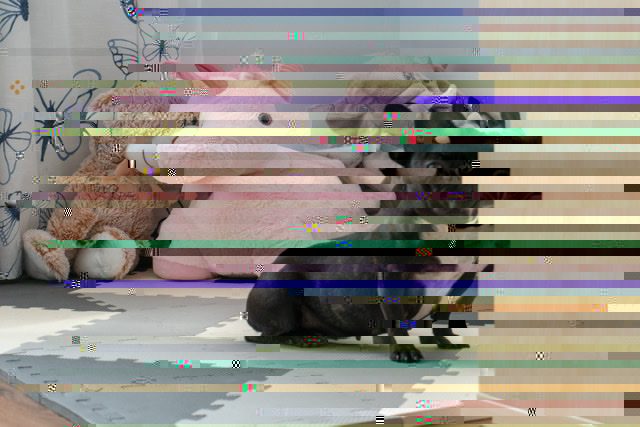EAF4A6CB-67E3-42D8-8EA2-9430A5463C17.jpeg