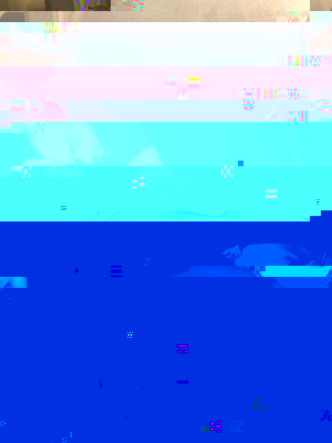 IMG-3604.jpg