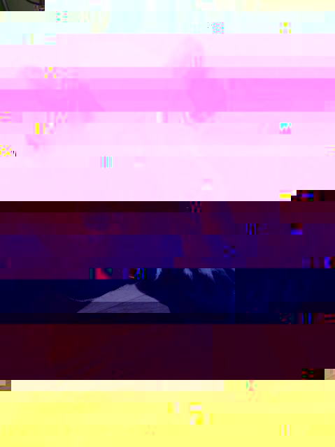 image00006.jpeg
