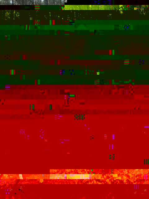 image00027.jpeg