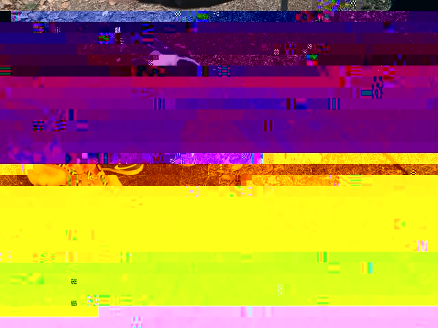 image00030.jpeg