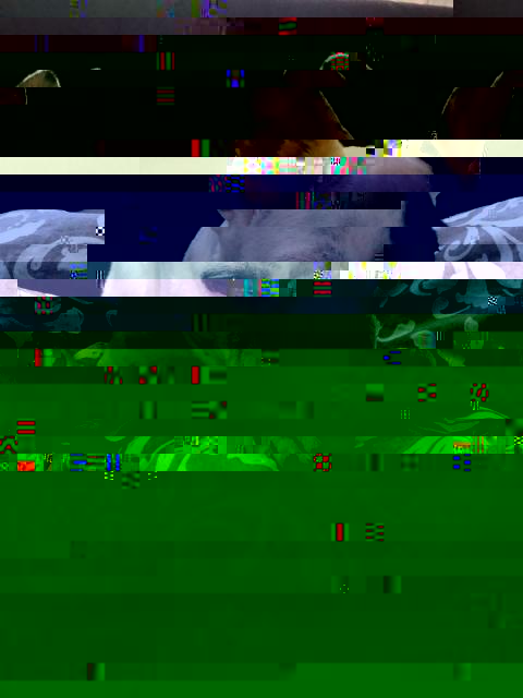 image00065.jpeg