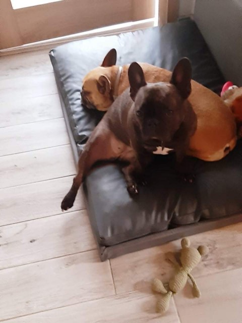 received_268436461747146.jpeg