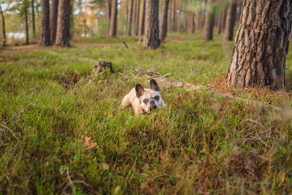 FotoGrafik--84.jpg