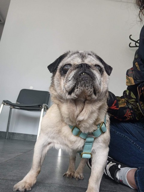 received_520559299401605.jpeg