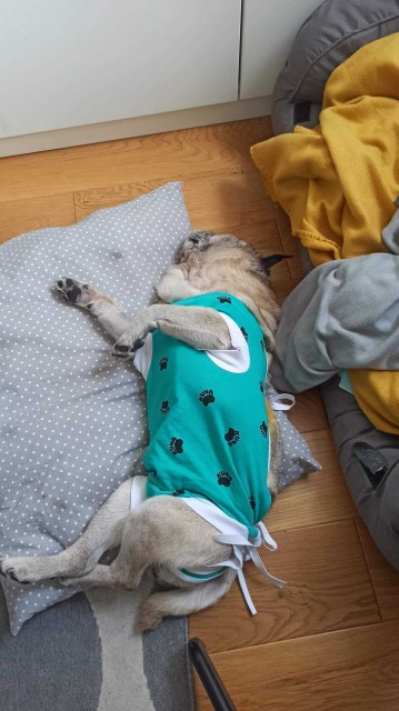 received_716991642797679.jpeg