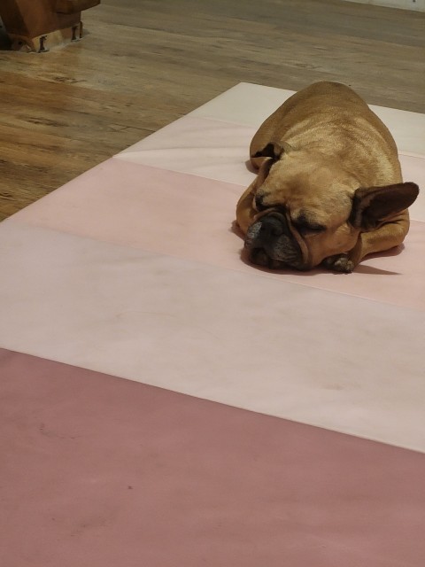 20221113_163749_Easy-Resize.com.jpg