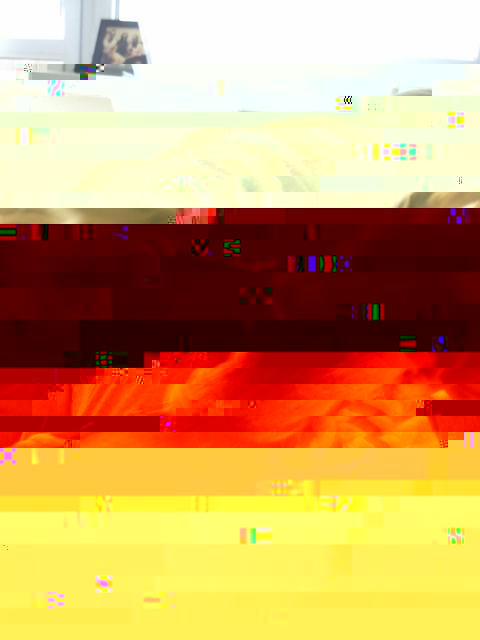 DSC_0738.jpg