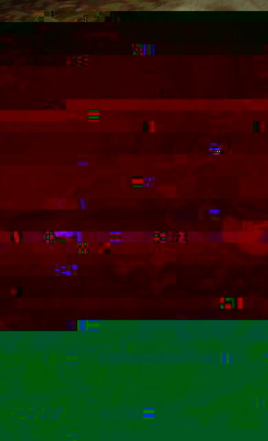 3a.jpeg