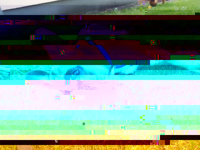 12772162_IMG_20180725_151835.jpg