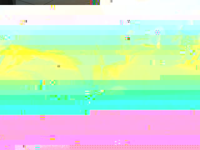 12772160_IMG_20180802_062851.jpg