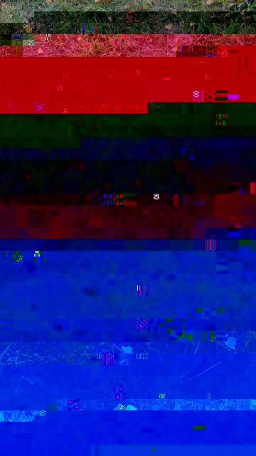 44475369_275617533078978_1931241905891311616_n(1).jpg