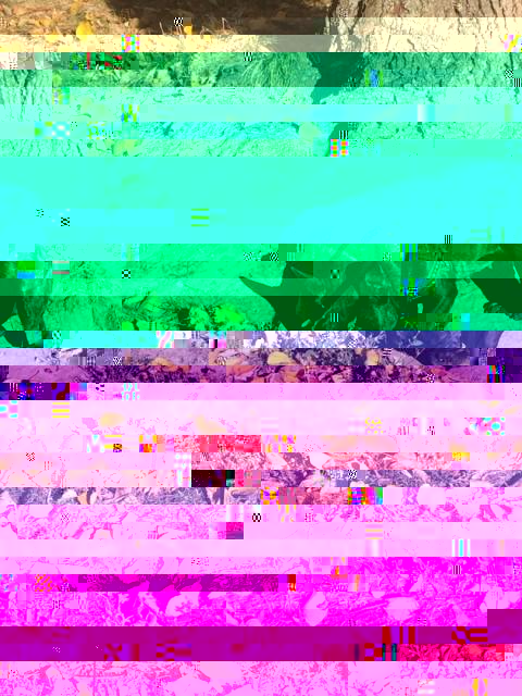43879717_548531822257045_4103529466767081472_n.jpg