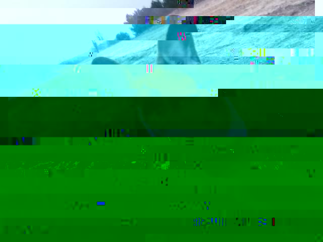 13732995_IMG_20181124_144448_1.jpg