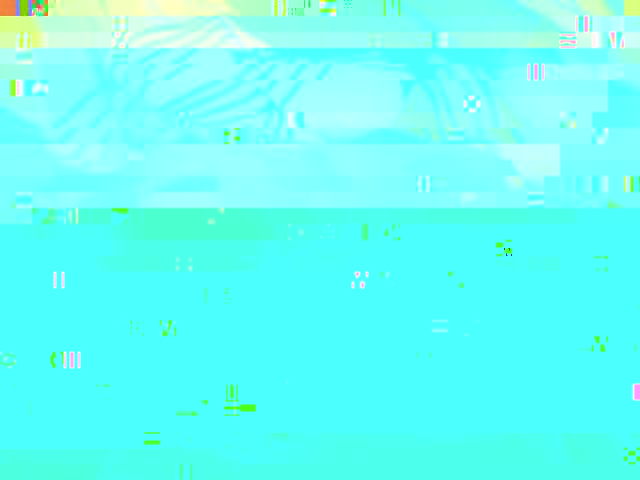 13732994_IMG_20181118_133453.jpg