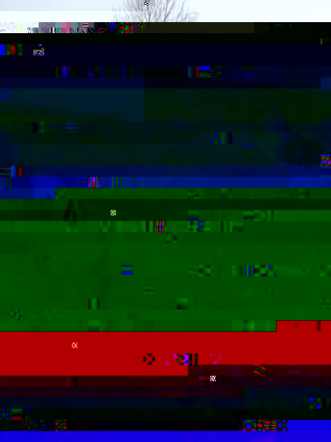 13732993_IMG_20181124_144444_1.jpg