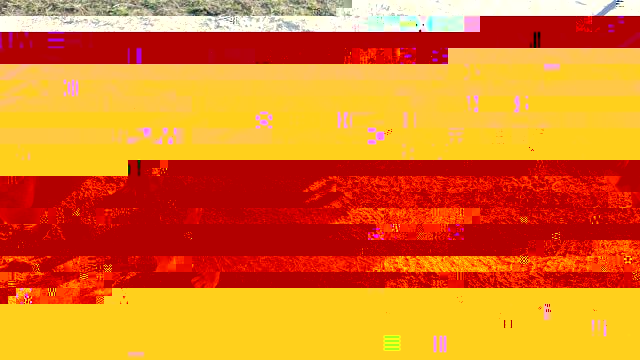 rudzia2.JPG