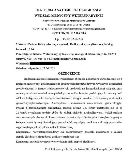 wynik_badania.jpg